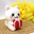 Cat w/ Present