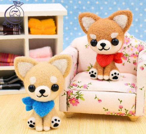 Chihuahua