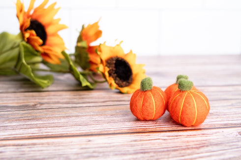 Felted Mini Pumpkins