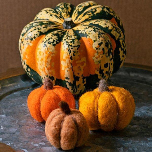 Pumpkins - Limited Edition