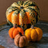 Pumpkins - Limited Edition