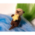 Sea Otter