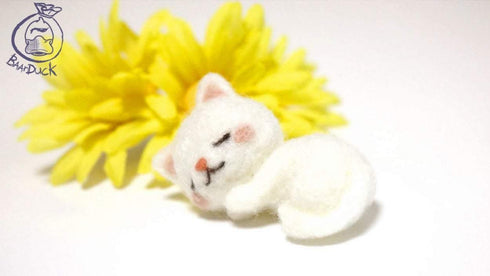 Sleeping White Cat