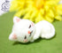 Sleeping White Cat