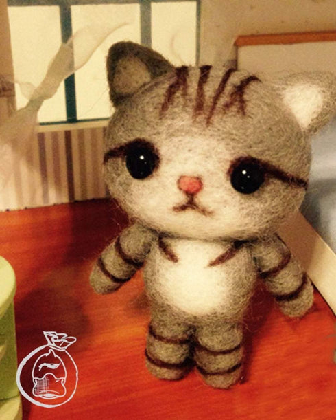 Tabby Cat